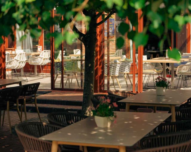 Gdańsk Oliwa gdzie zjeść - najlepsze restauracje na każdą kieszeń Gdańsk Oliwa gdzie zjeść - najlepsze restauracje na każdą kieszeń